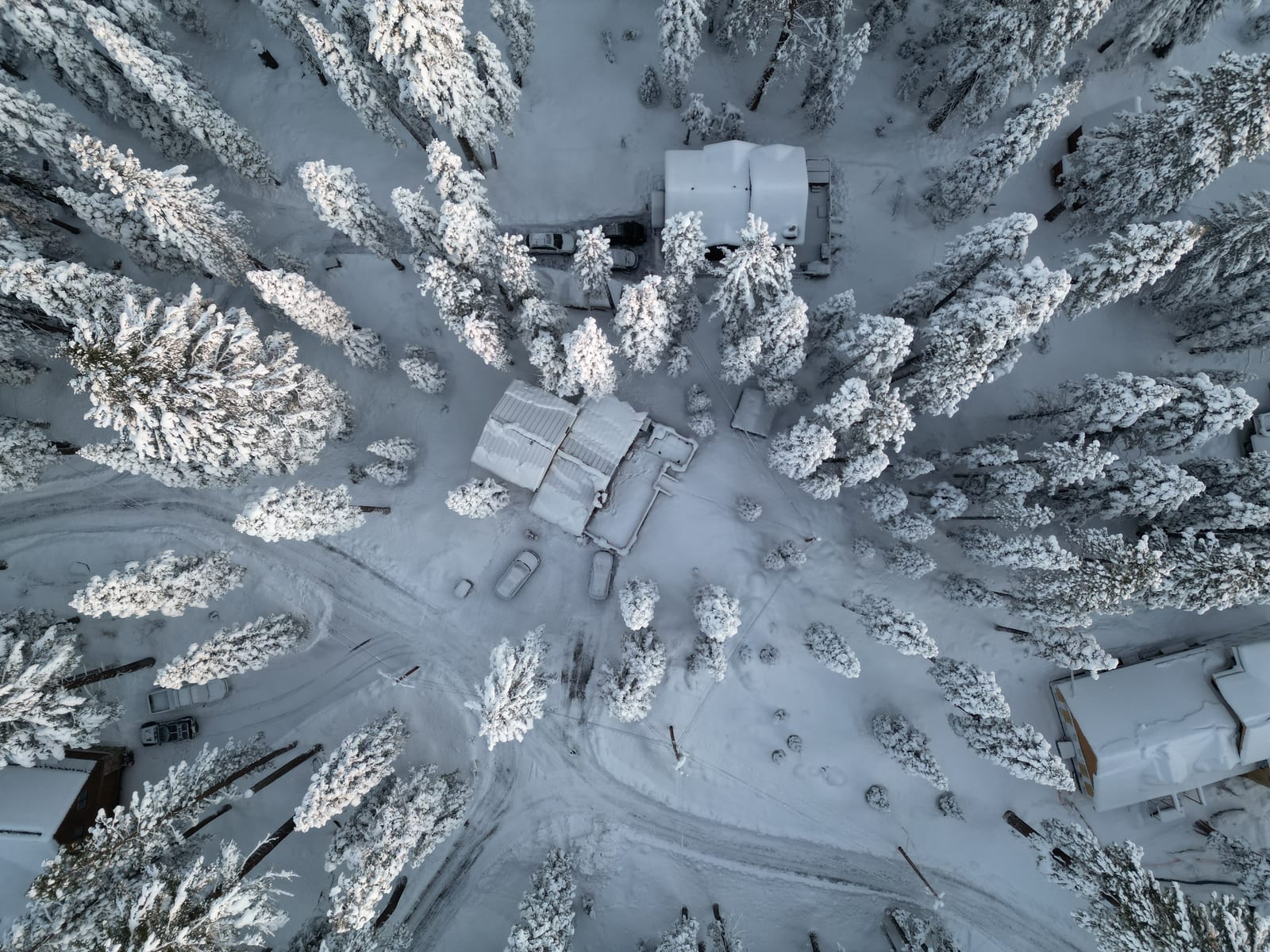 Aerial view of a snow-covered Tahoe home and pines buried after a winter storm